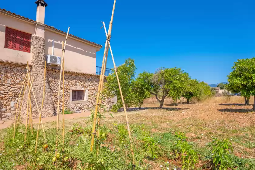 Location de vacances à Son figuerola, Inca