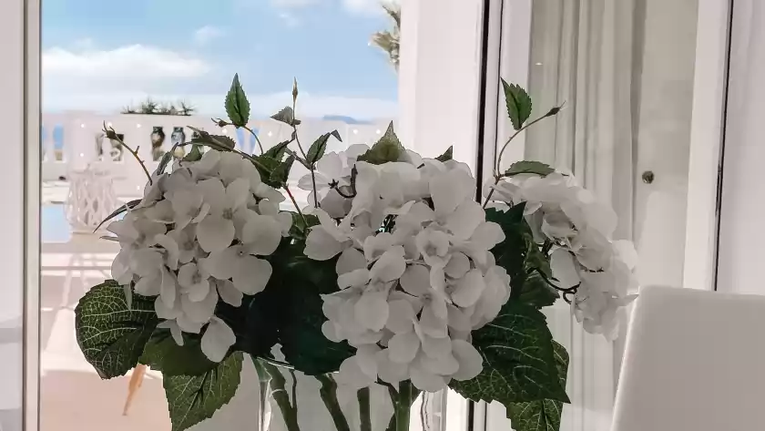 Location de vacances à Villa perla blanca, Jesús