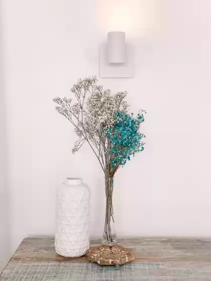 Location de vacances à Villa perla blanca, Jesús