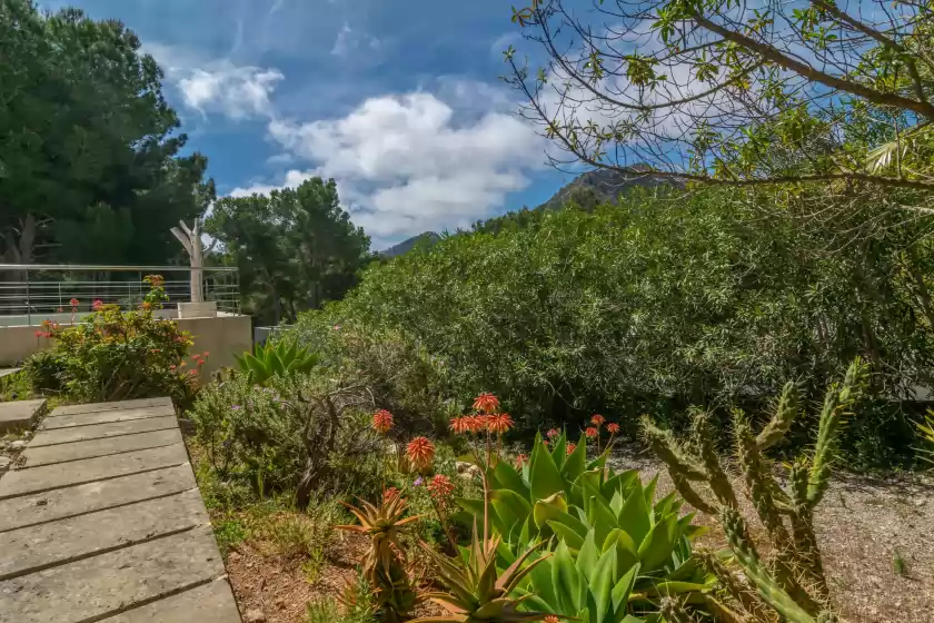 Alquiler vacacional en Carritx, es Provençals