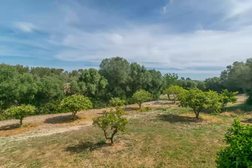 Alquiler vacacional en Son barrigo, Porreres
