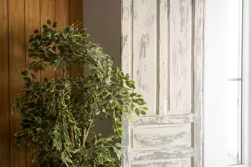 Location de vacances à Casa cuna, Arcos de la Frontera