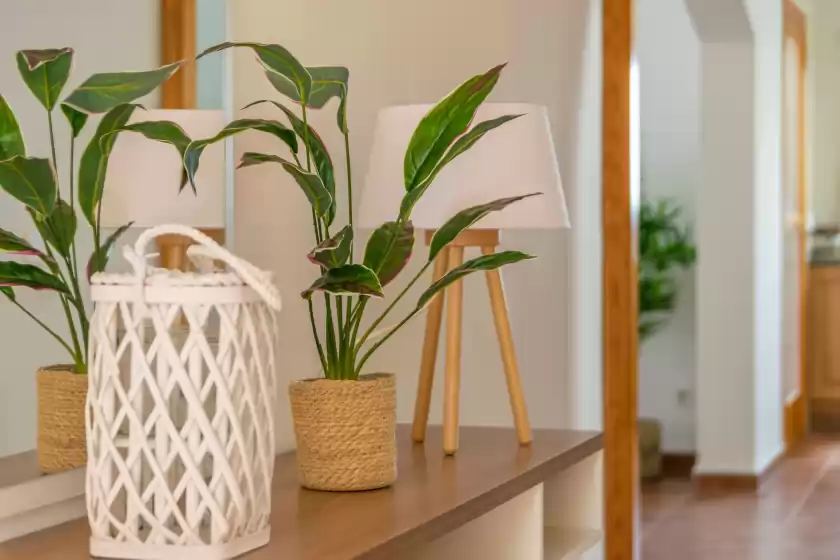 Location de vacances à Villa maria (port des canonge), Son Coll