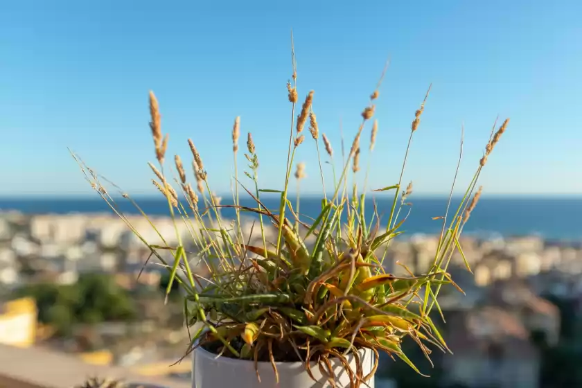 Location de vacances à Atico gran sol, Rincón de la Victoria
