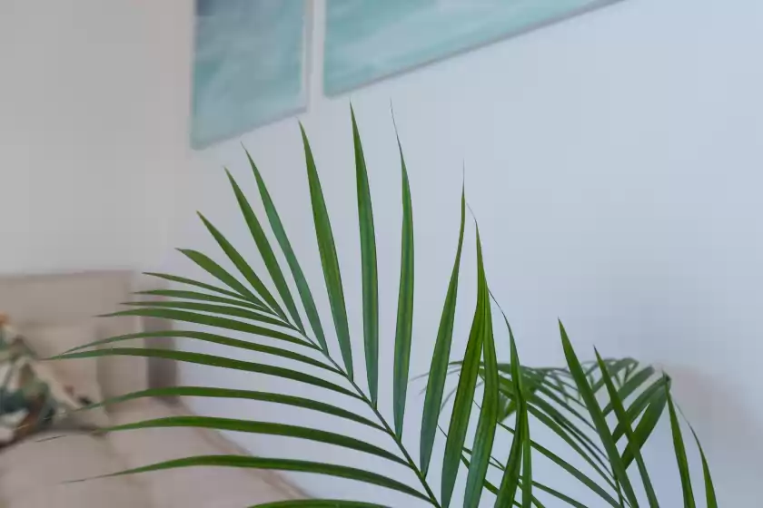 Location de vacances à Atico gran sol, Rincón de la Victoria