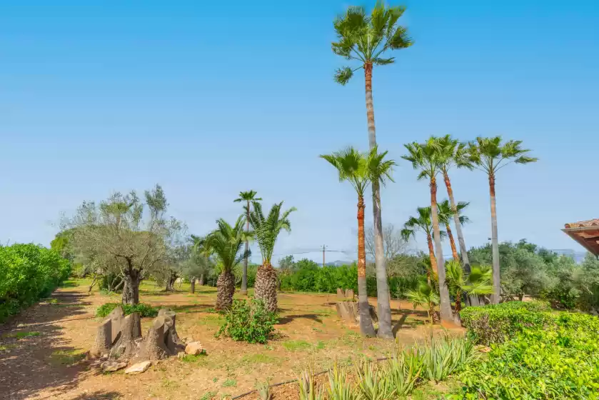 Location de vacances à Es garroveret, Es Garrovers-Son Daviu Nou-Ses Llegitimes