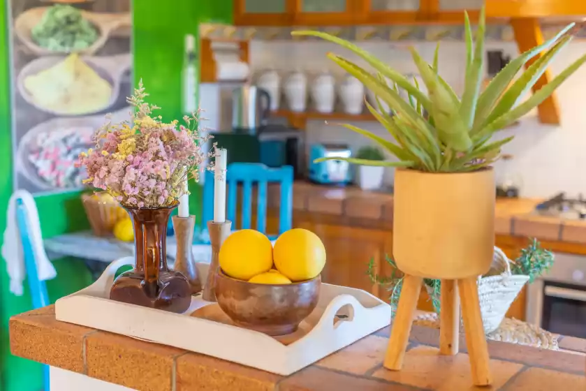 Location de vacances à Casa s'olivaret (selva), Selva