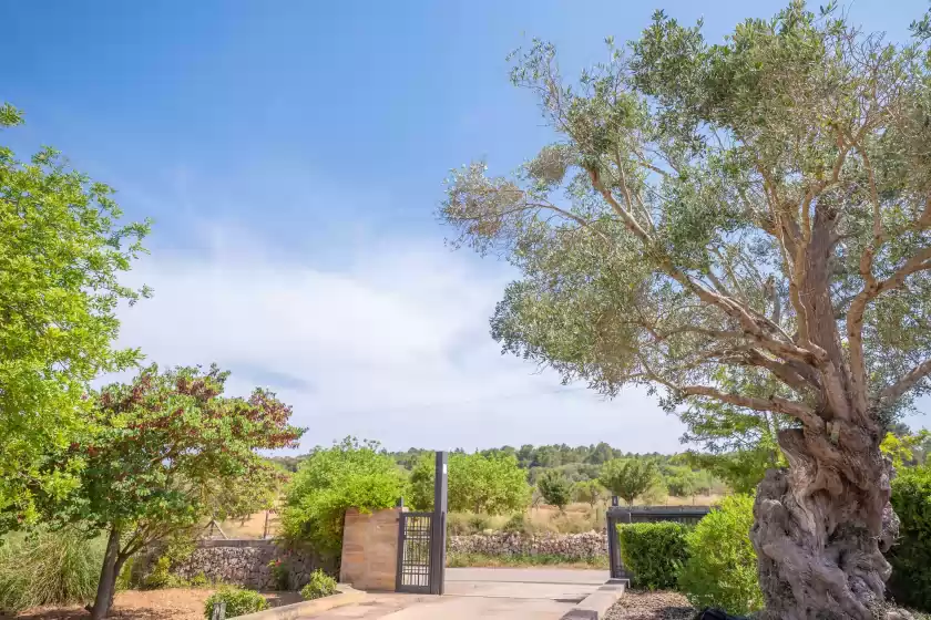 Alquiler vacacional en Sa xigala, Algaida