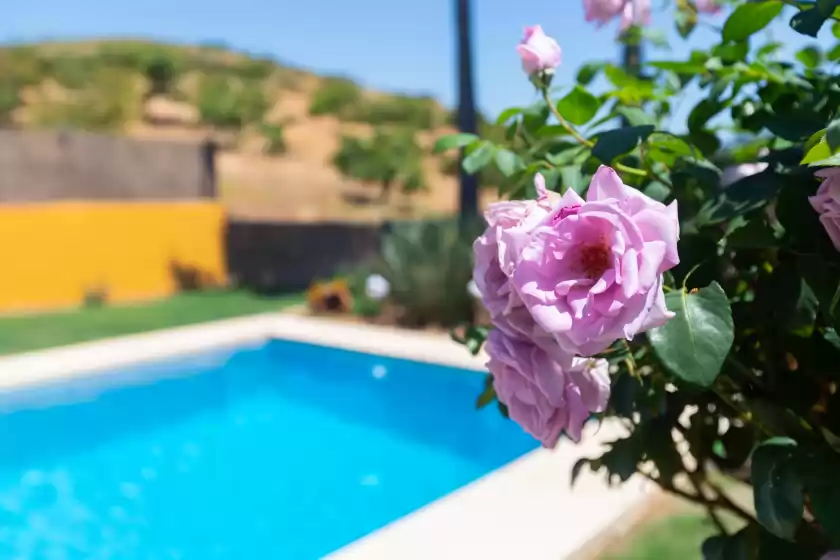 Holiday rentals in El descanso, Mijas
