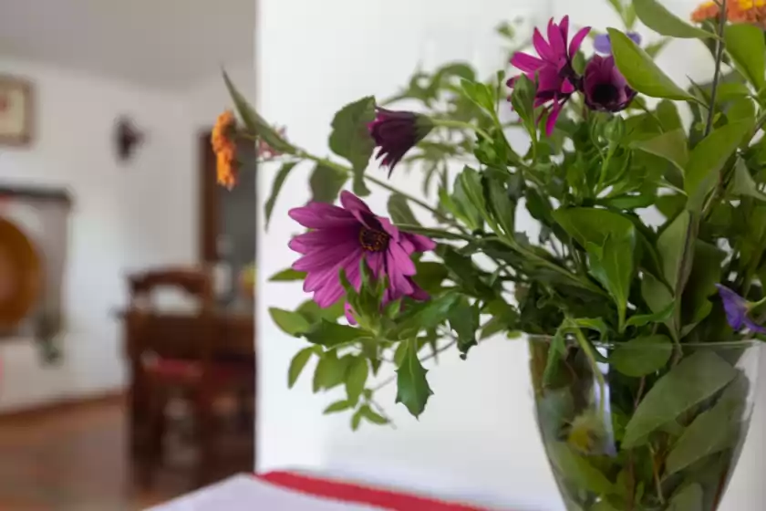 Holiday rentals in Aurora, Gaucín