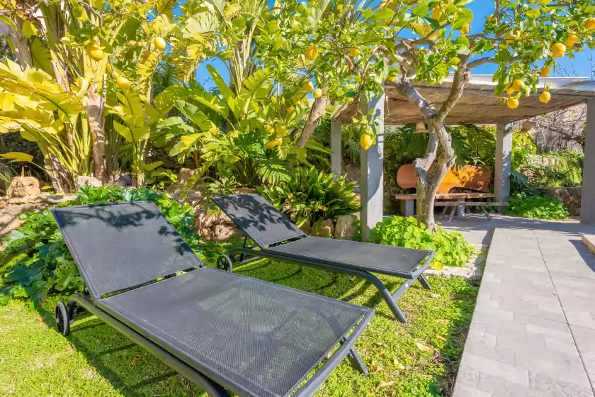 Holiday rentals in Finca tito y yaya, Alcúdia