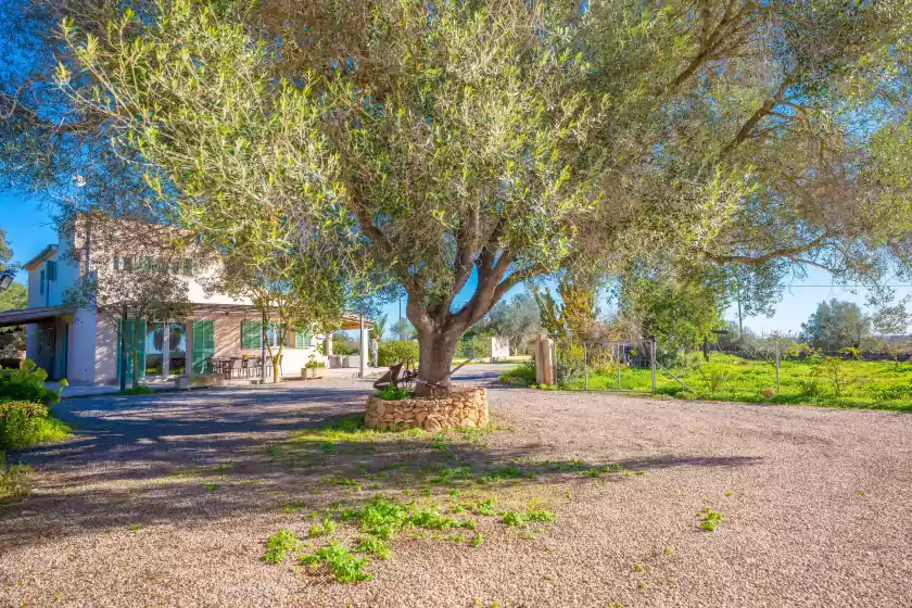 Location de vacances à Ses set tanques de son fosquet, Llucmajor