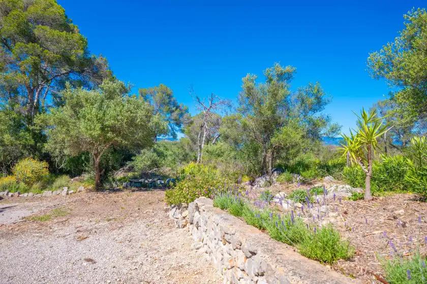 Alquiler vacacional en Son muntaner, Palma
