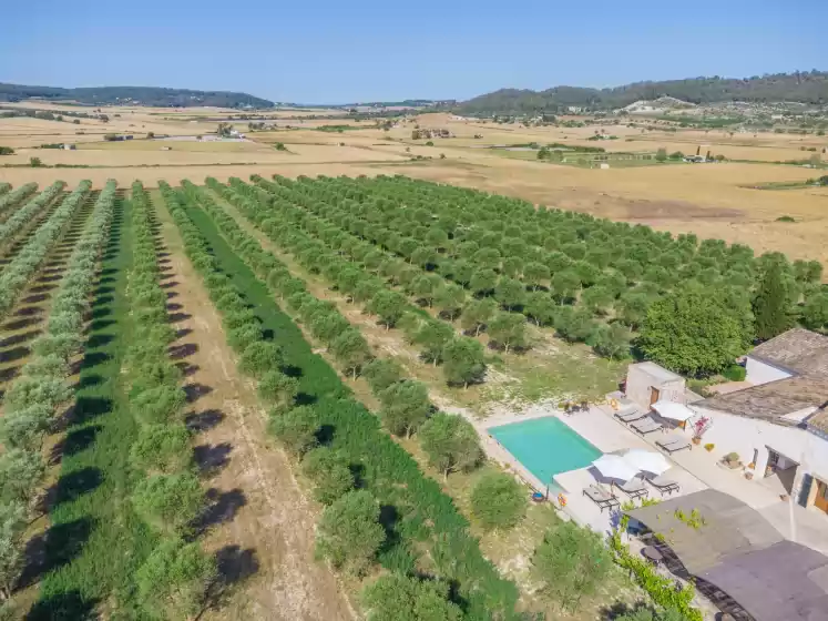 Location de vacances à Gossalba - torreo, Sant Joan