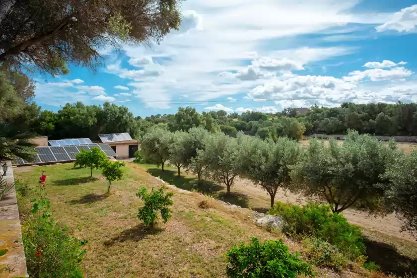 Alquiler vacacional en Son burguet, Llubí