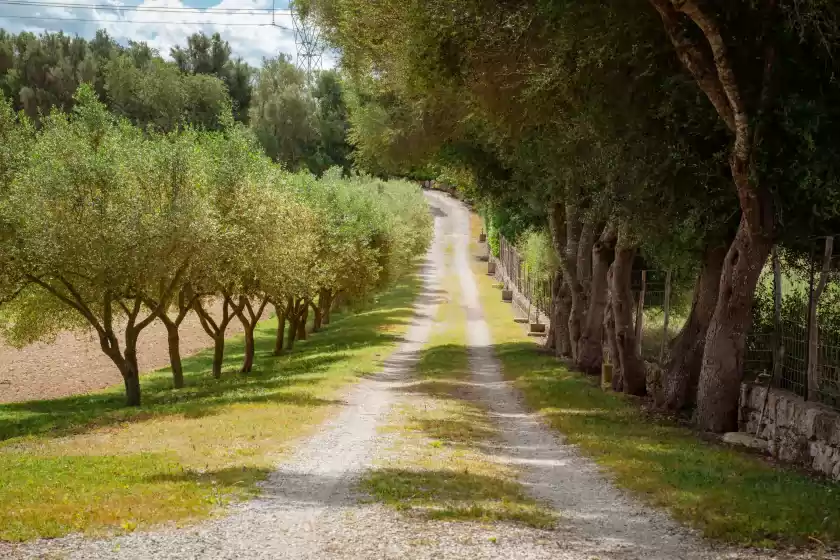 Alquiler vacacional en Son burguet, Llubí