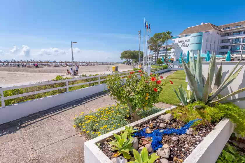 Location de vacances à Casa maris, Port d'Alcúdia