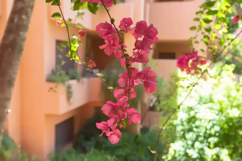 Location de vacances à La gaviota, Marbella
