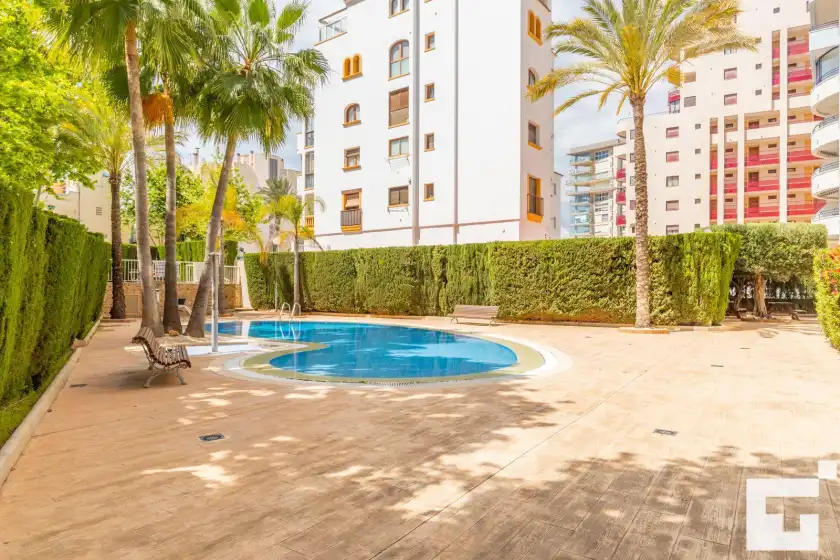 Alquiler vacacional en Apolo xix 34l - grupo turis, Calp