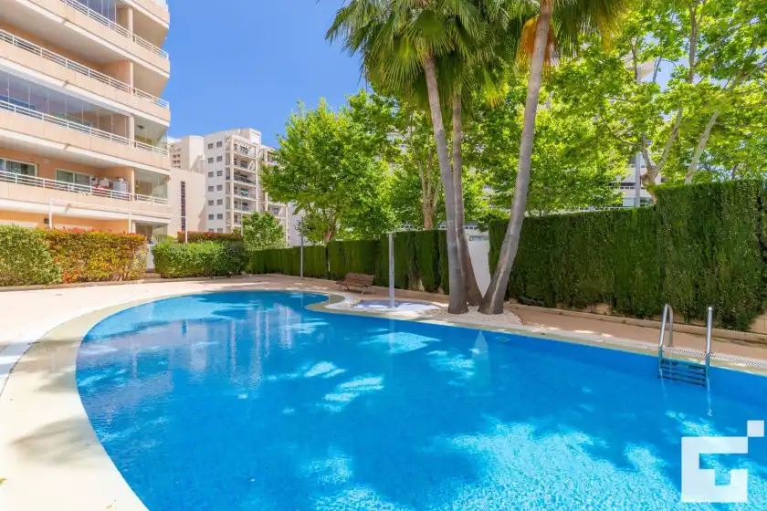 Alquiler vacacional en Apolo xix 34l - grupo turis, Calp