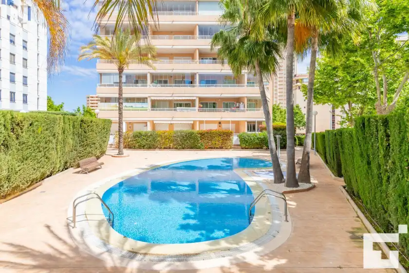 Alquiler vacacional en Apolo xix 34l - grupo turis, Calp