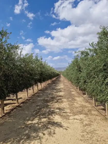 Alquiler vacacional en Casa de femmie, Pozo del Esparto