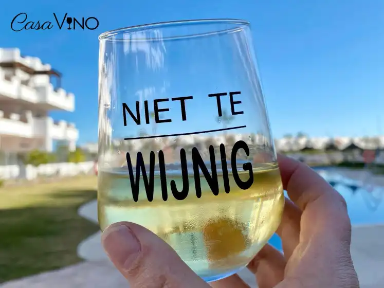 Alquiler vacacional en Casa vino, Pozo del Esparto