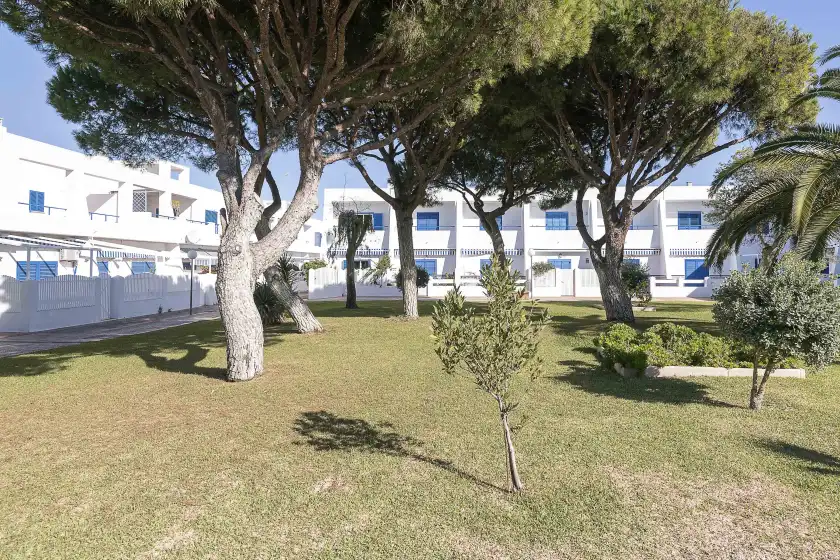 Alquiler vacacional en La almadraba, Chiclana de la Frontera