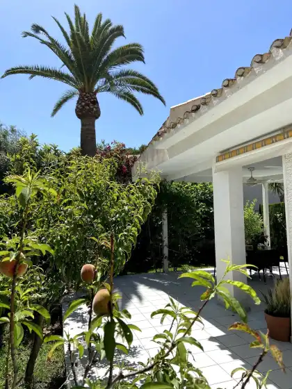 Alquiler vacacional en Villa jardín botánico, Orihuela Costa