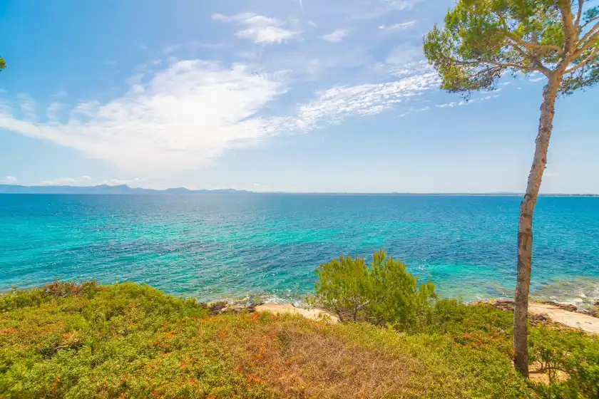 Alquiler vacacional en Far d'alcanada, Port d'Alcúdia