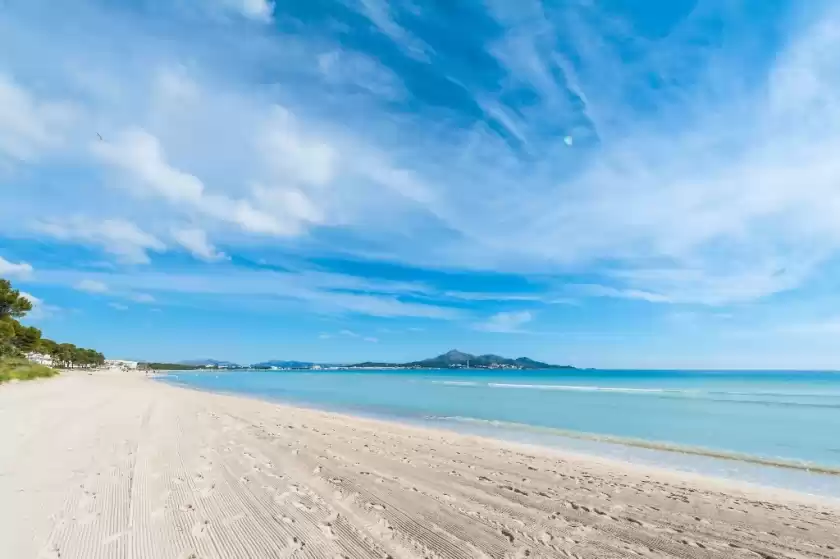 Location de vacances à Bella, Port d'Alcúdia