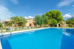 Torre marina (alga marina) - Alquiler vacacional en ses Covetes