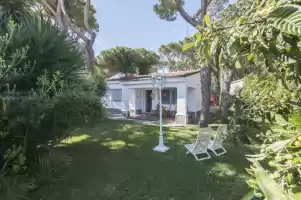 Las camelias - Location de vacances à Chiclana de la Frontera
