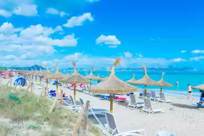 Platja de Muro-Es Capellans, Vacalia.com