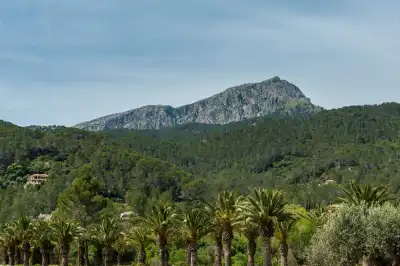 Puigpunyent, Mallorca, Vacalia.com