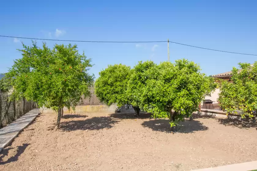 Ferienunterkünfte in Shostalet, Algaida