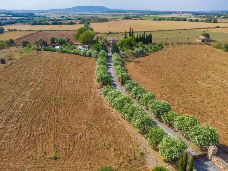 Location de vacances à Banc doli, Manacor