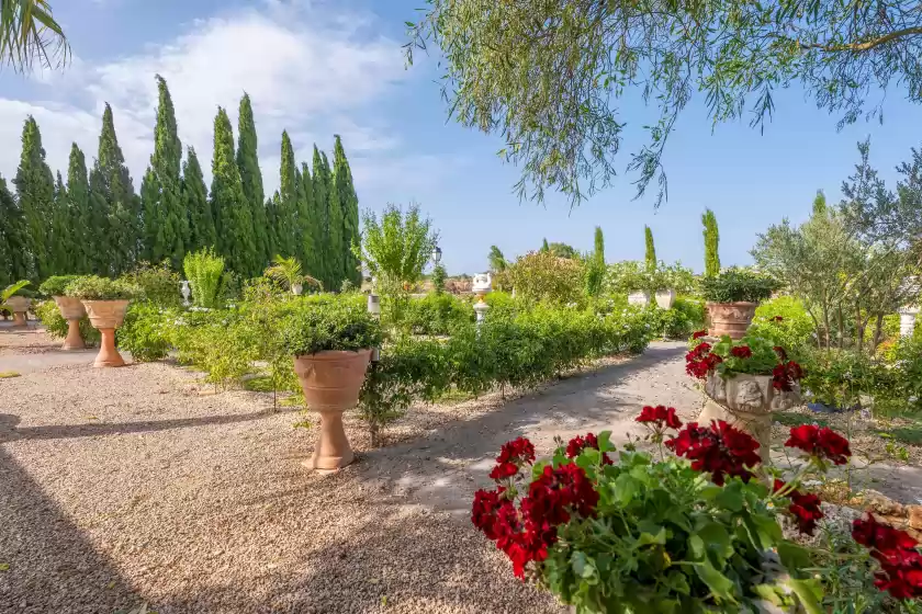 Location de vacances à Banc doli, Manacor