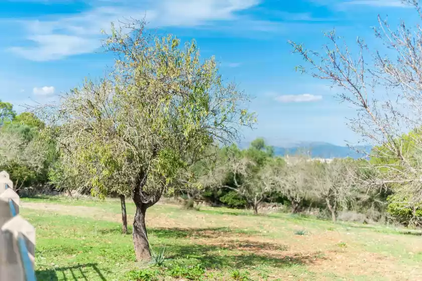 Alquiler vacacional en Son rossinyol, Llubí