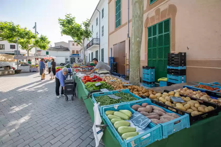 Alquiler vacacional en Son morey, Vilafranca de Bonany