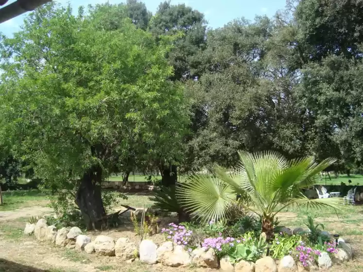 Alquiler vacacional en Sa figuera blanca, Búger