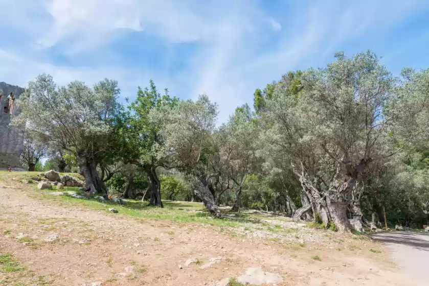 Ferienunterkünfte in Sa garriga de can barratot, Selva