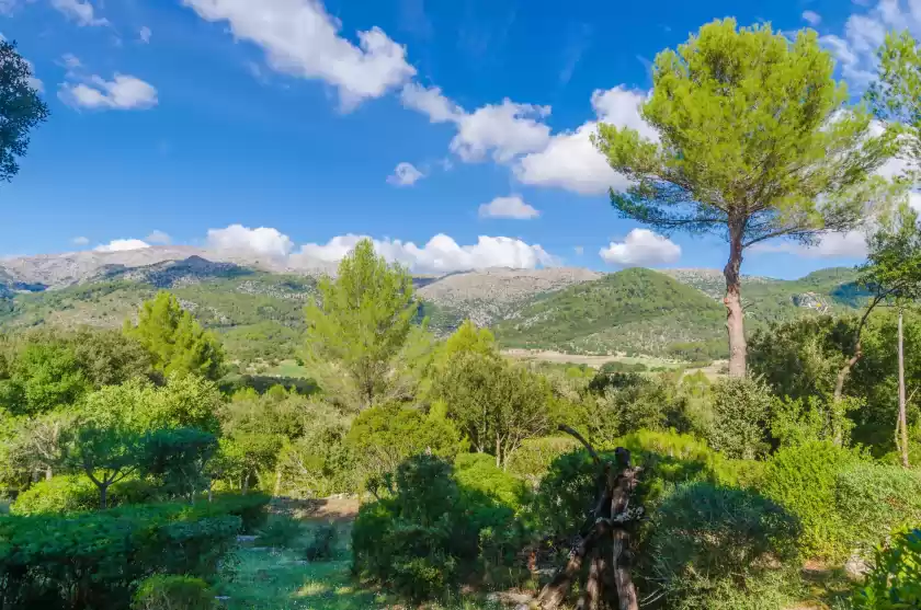 Alquiler vacacional en S'alqueria, Campanet