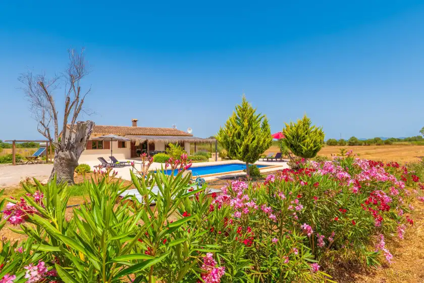 Holiday rentals in Son fred, Felanitx