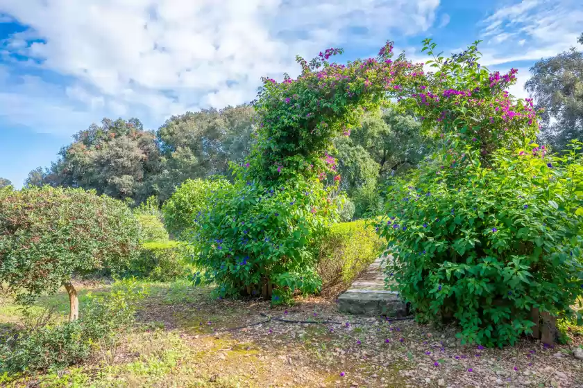 Location de vacances à Ca na flores, Llubí