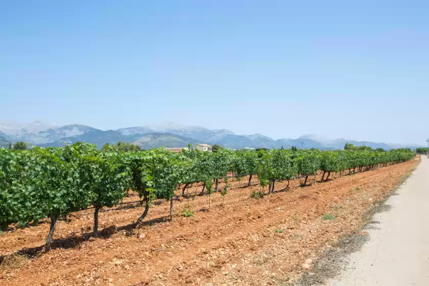 Alquiler vacacional en Es blanquer de na fani, Binissalem