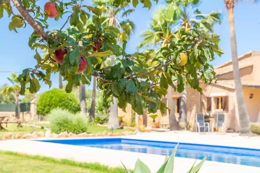 Location de vacances à Es coco de sa mola, s'Alqueria Blanca