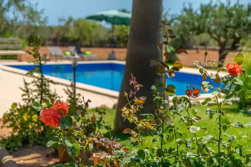 Location de vacances à Es coco de sa mola, s'Alqueria Blanca