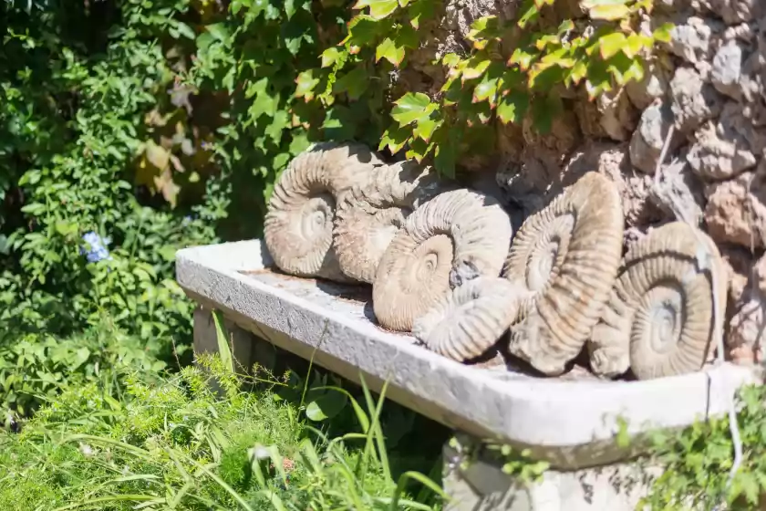 Ferienunterkünfte in Ca hado xucla, Valldemossa