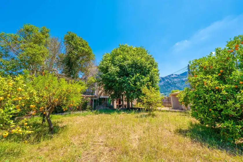 Alquiler vacacional en Can raia, Sóller